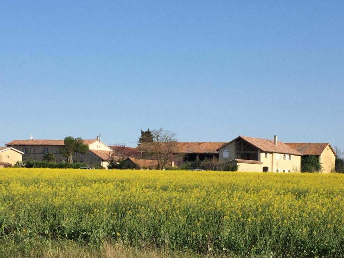 Ferme St Pierre 2 Suites Avec Repas, Piscine, Clim, Cheminee Ou Baignoire Spa Chabeuil Exterior photo